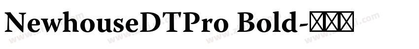 NewhouseDTPro Bold字体转换